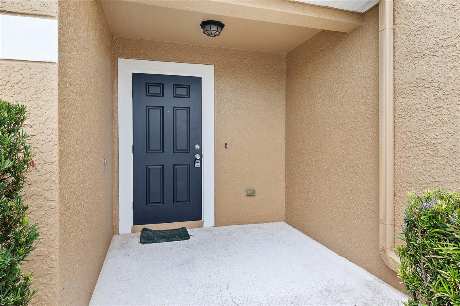 4409 WINDING RIVER WAY, LAND O LAKES, FL, 34639