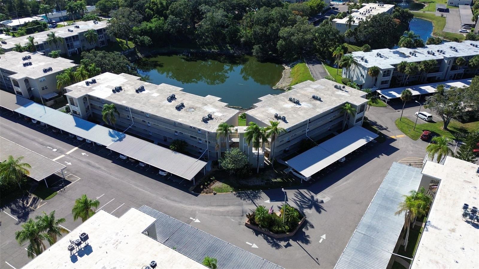948 VIRGINIA ST #110, DUNEDIN, FL, 34698