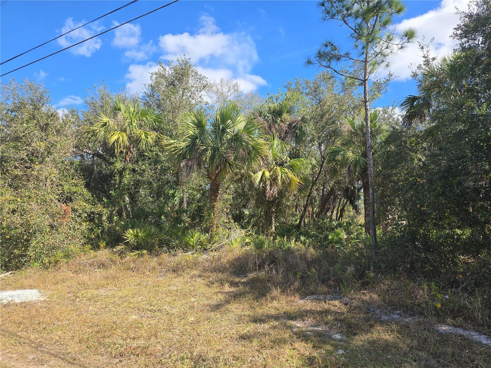 1133105509 & 1133105510 LAKEPORT ST, NORTH PORT, FL, 34288