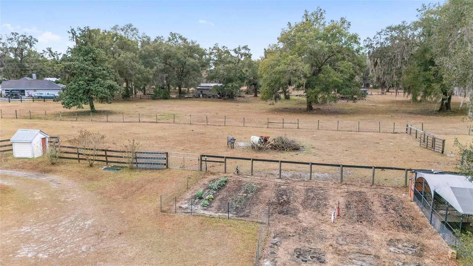 18368 NW 43RD COURT RD, CITRA, FL, 32113