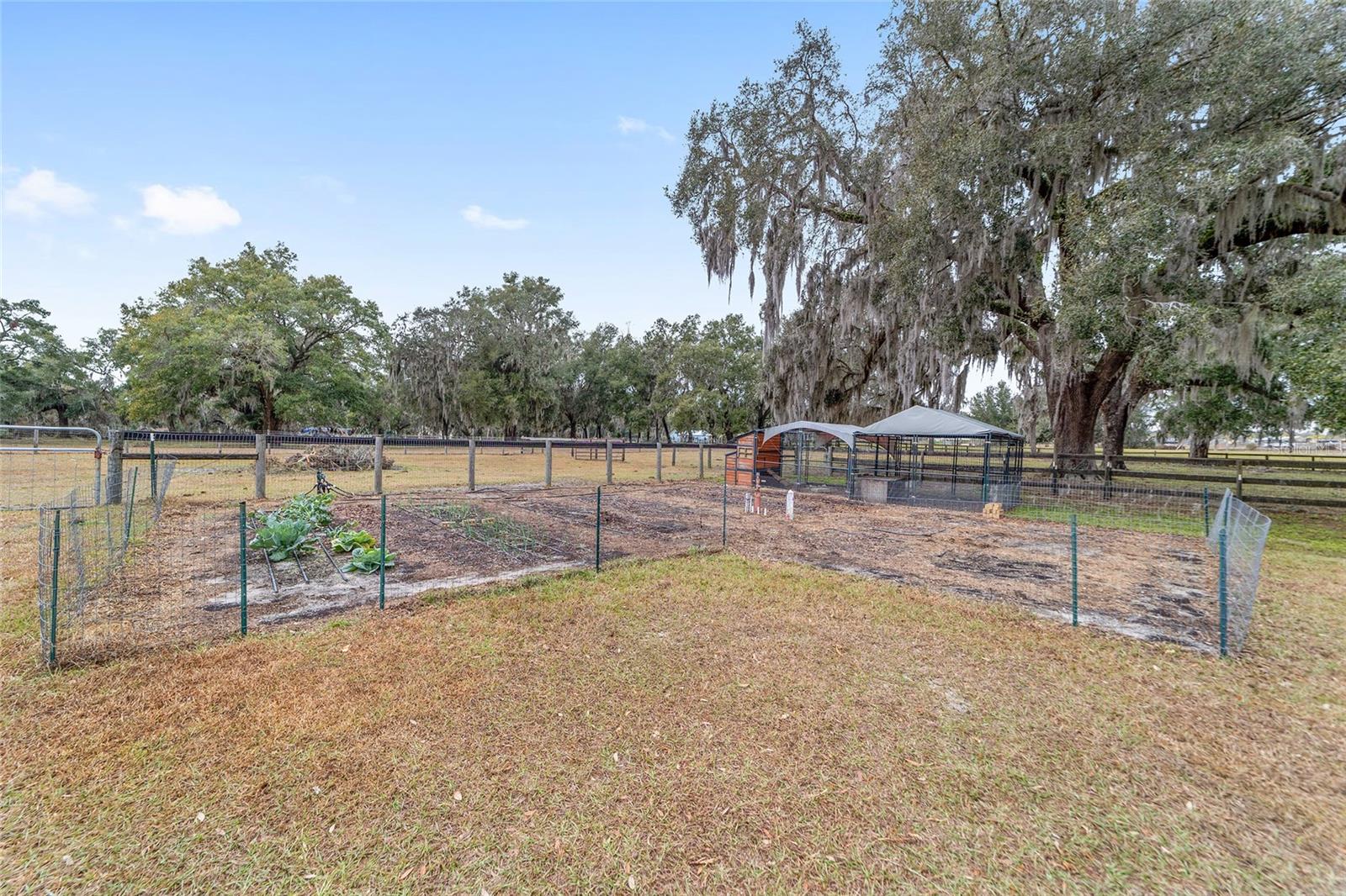 18368 NW 43RD COURT RD, CITRA, FL, 32113