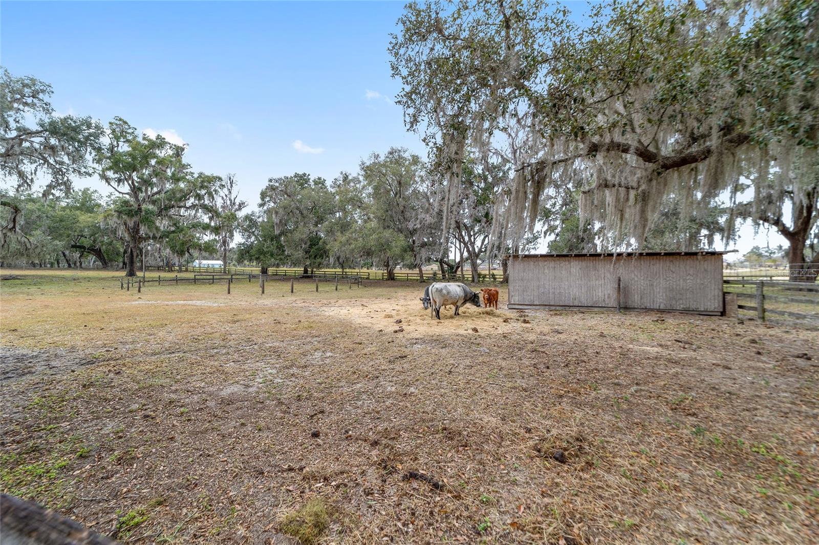 18368 NW 43RD COURT RD, CITRA, FL, 32113