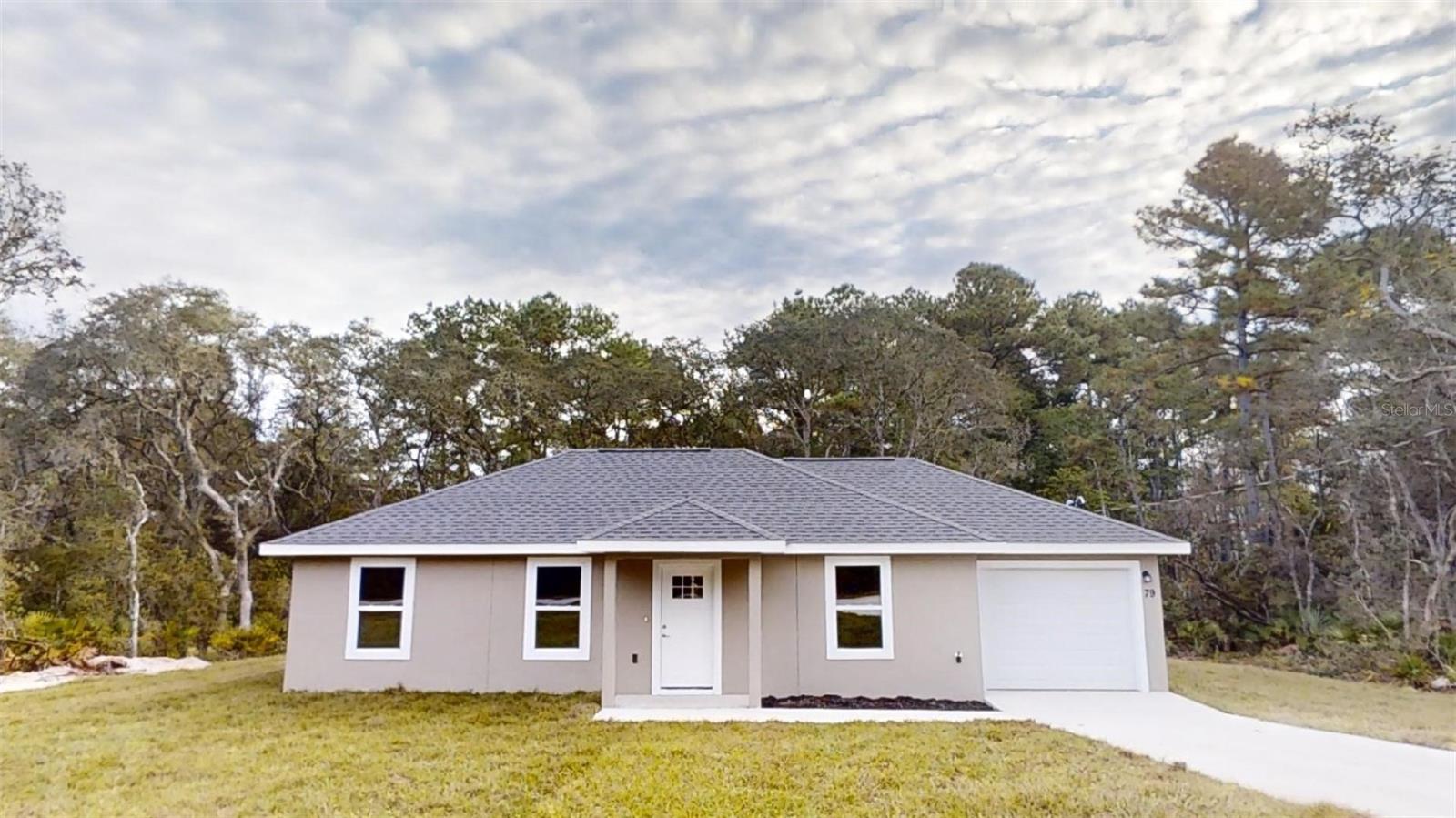 111 FISHER TRACE DR, OCKLAWAHA, FL, 32179