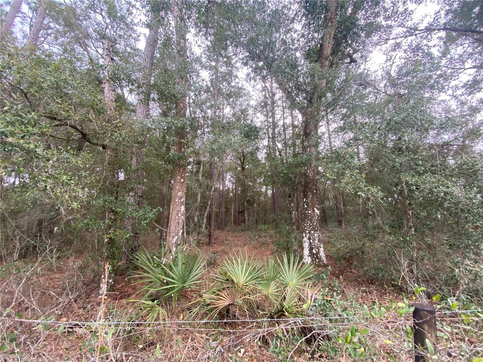 W KICKLIGHTER RD, LAKE HELEN, FL, 32744