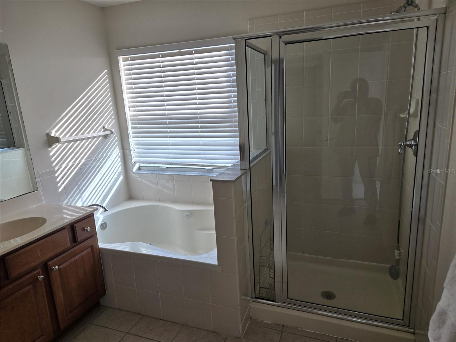 31132 CREEKRIDGE DR, WESLEY CHAPEL, FL, 33543