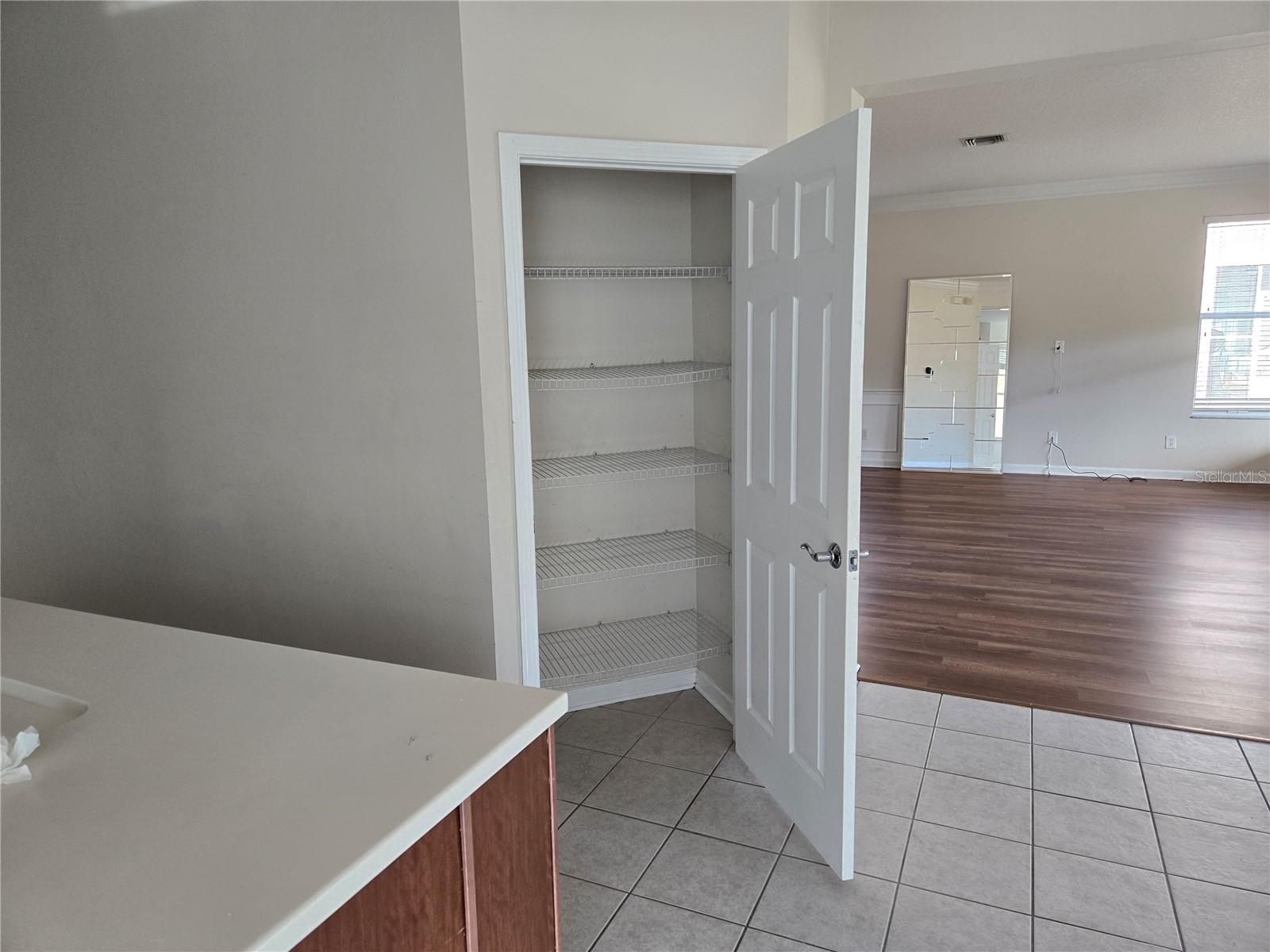 31132 CREEKRIDGE DR, WESLEY CHAPEL, FL, 33543