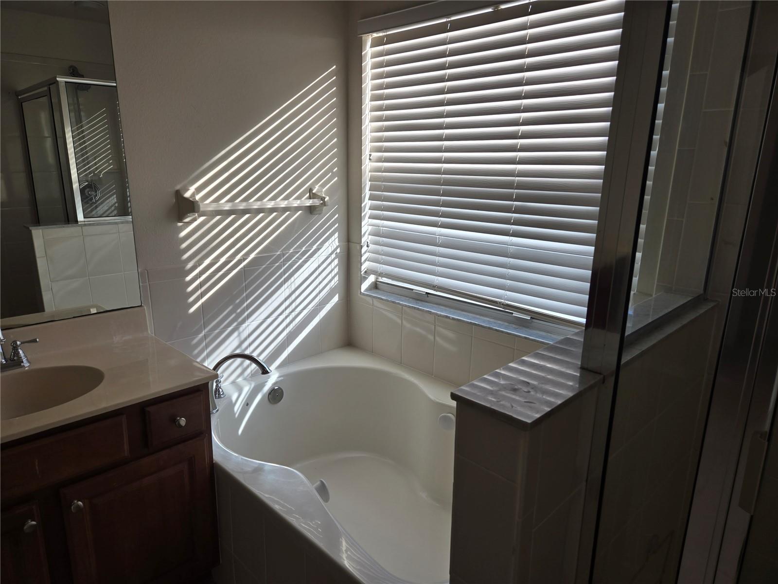 31132 CREEKRIDGE DR, WESLEY CHAPEL, FL, 33543