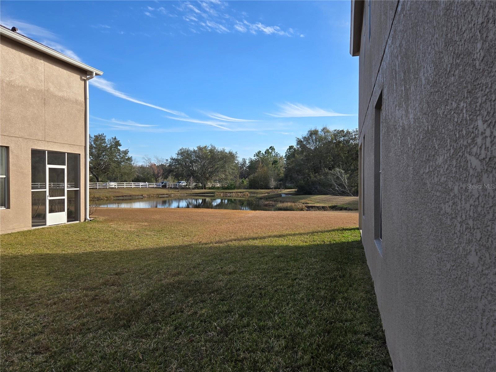 31132 CREEKRIDGE DR, WESLEY CHAPEL, FL, 33543