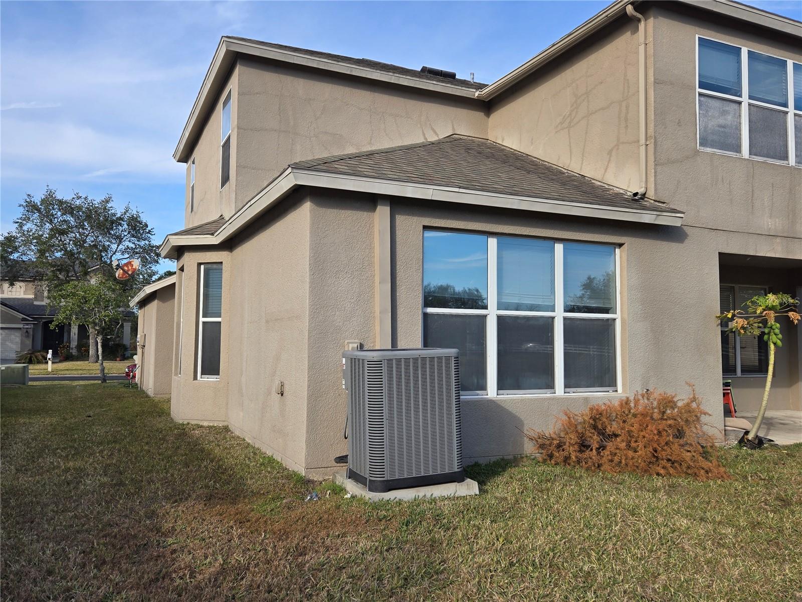 31132 CREEKRIDGE DR, WESLEY CHAPEL, FL, 33543