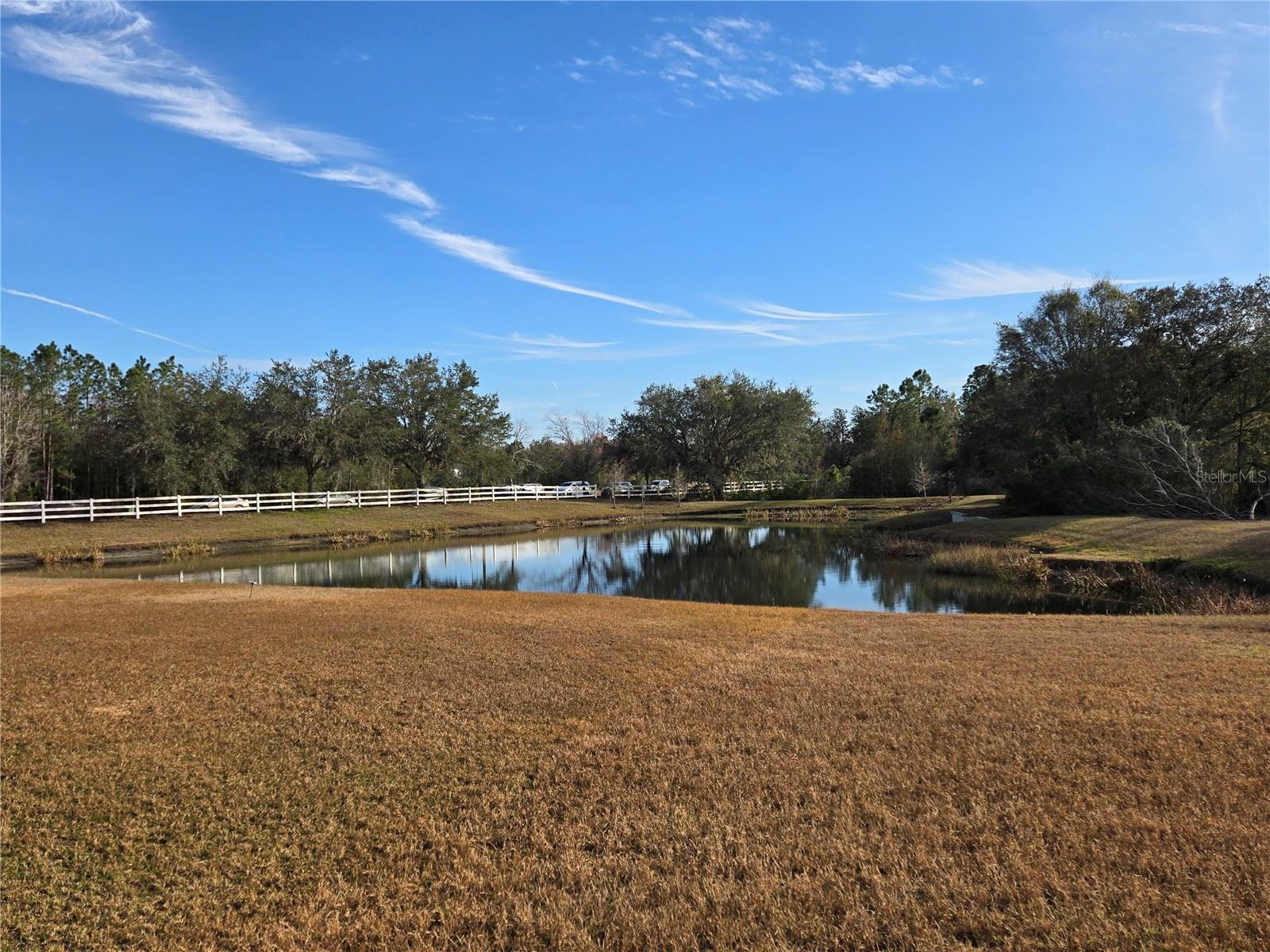31132 CREEKRIDGE DR, WESLEY CHAPEL, FL, 33543