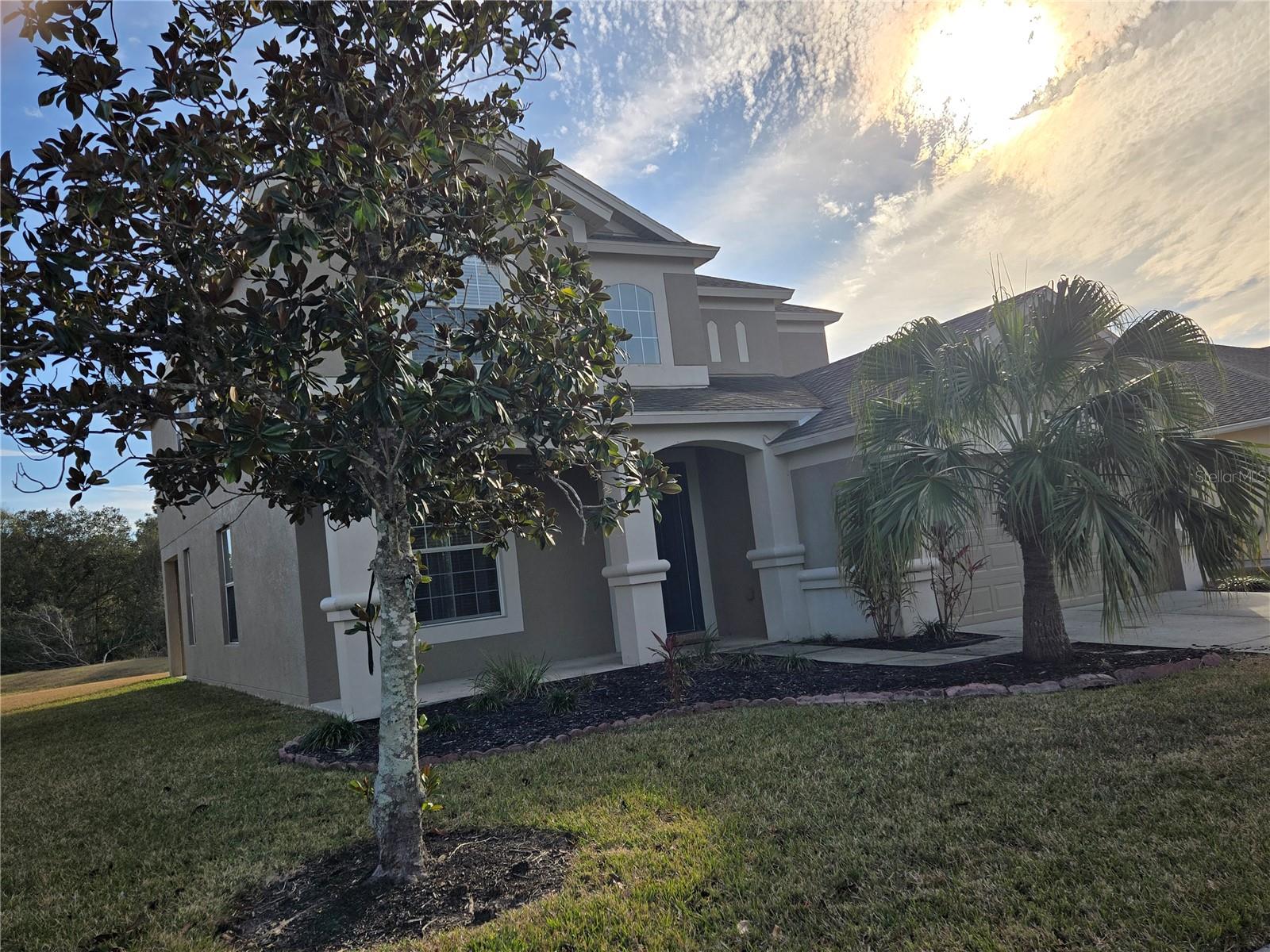 31132 CREEKRIDGE DR, WESLEY CHAPEL, FL, 33543