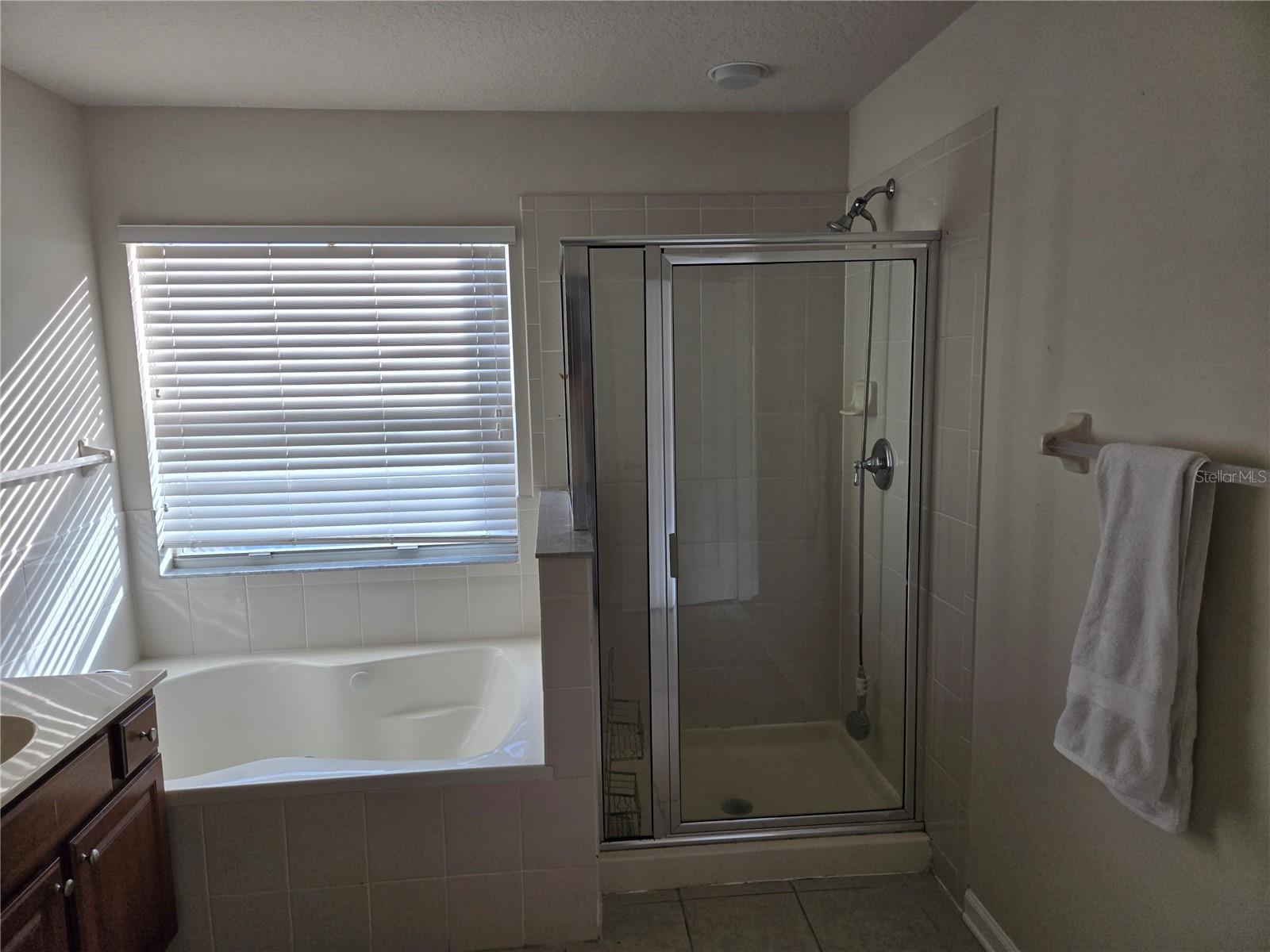 31132 CREEKRIDGE DR, WESLEY CHAPEL, FL, 33543