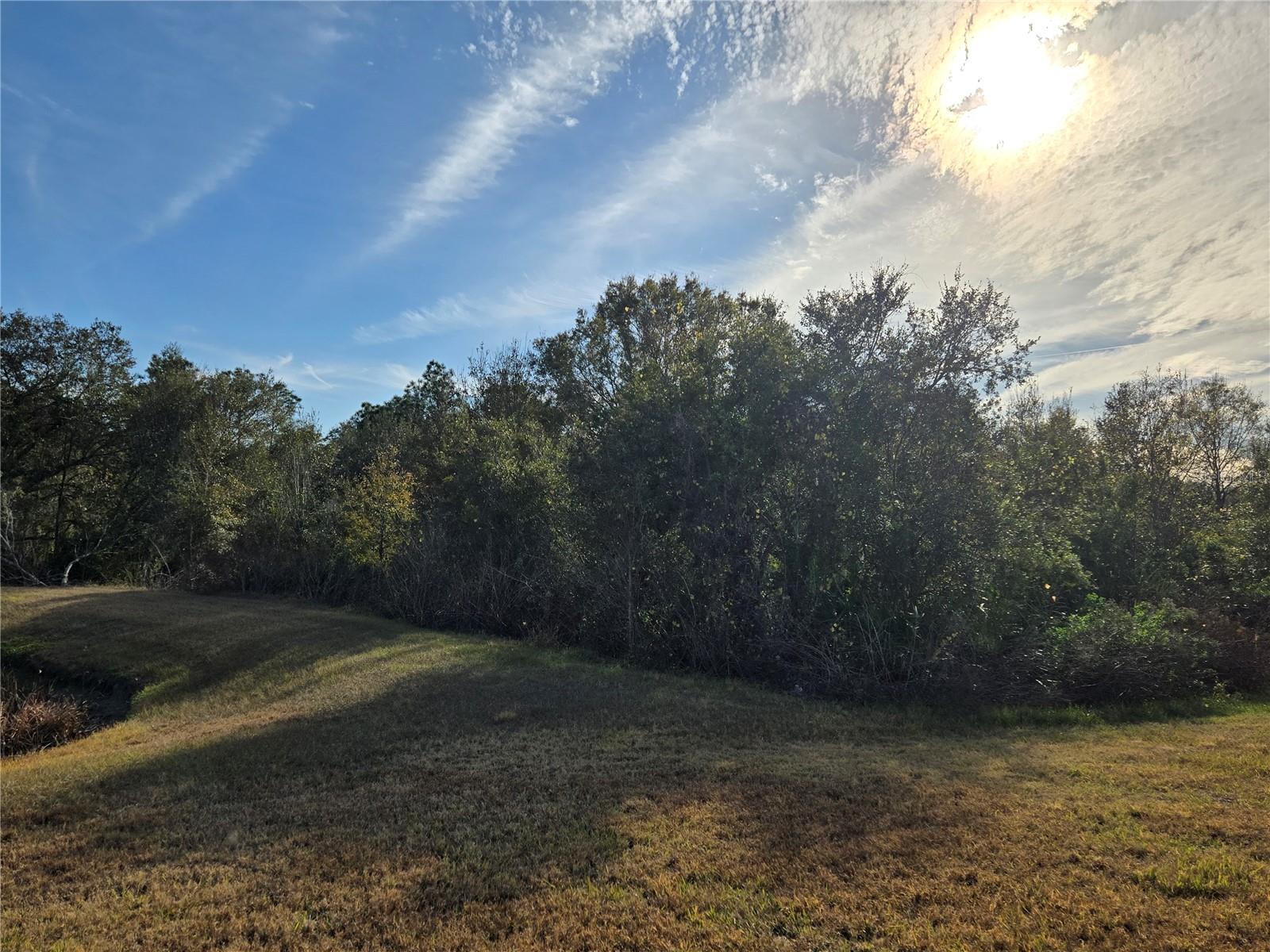 31132 CREEKRIDGE DR, WESLEY CHAPEL, FL, 33543
