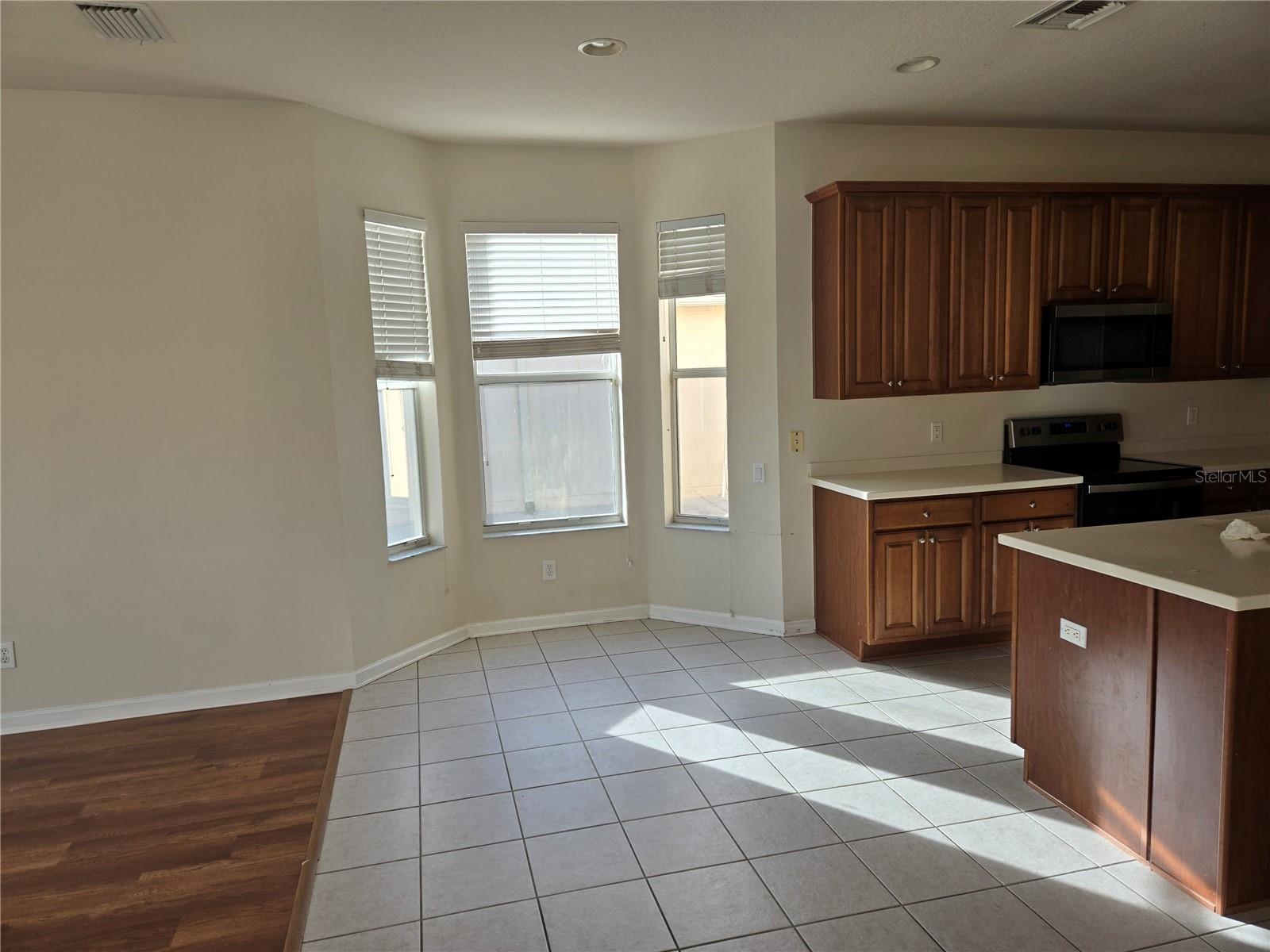 31132 CREEKRIDGE DR, WESLEY CHAPEL, FL, 33543