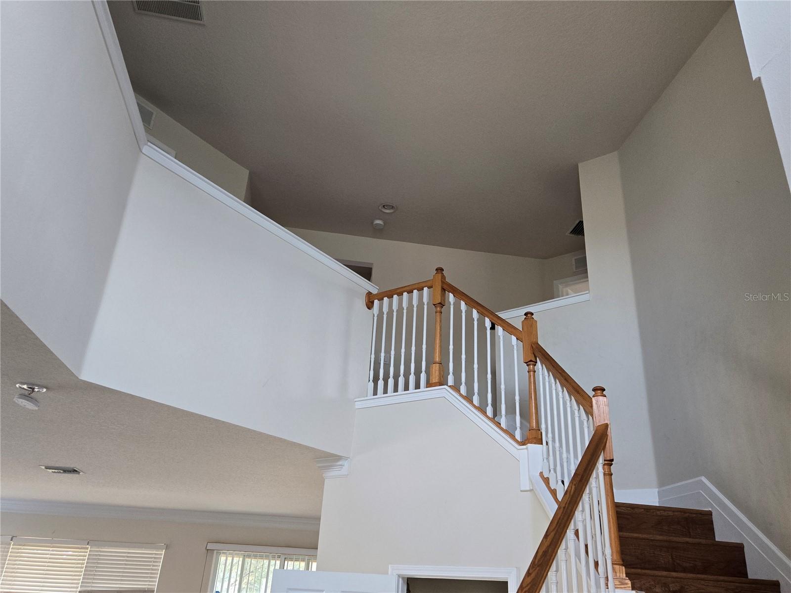 31132 CREEKRIDGE DR, WESLEY CHAPEL, FL, 33543