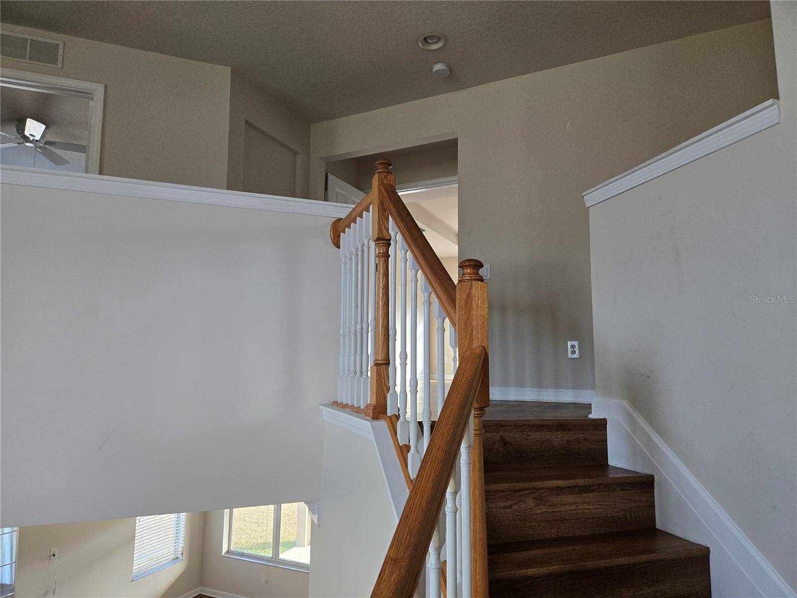 31132 CREEKRIDGE DR, WESLEY CHAPEL, FL, 33543