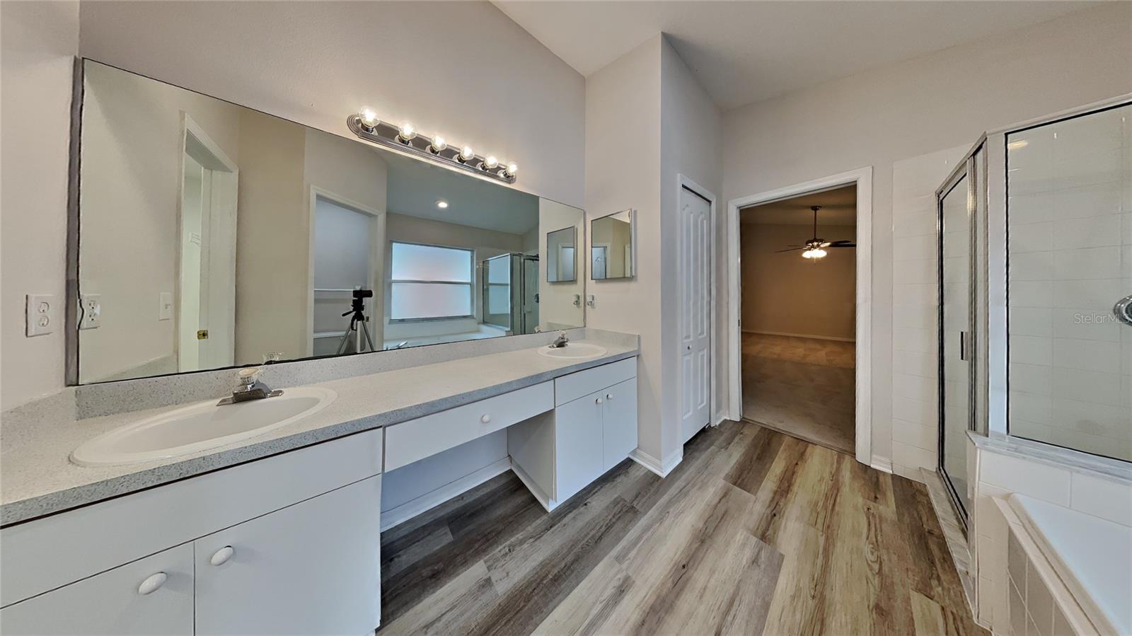 29325 BIRDS EYE DR, WESLEY CHAPEL, FL, 33543