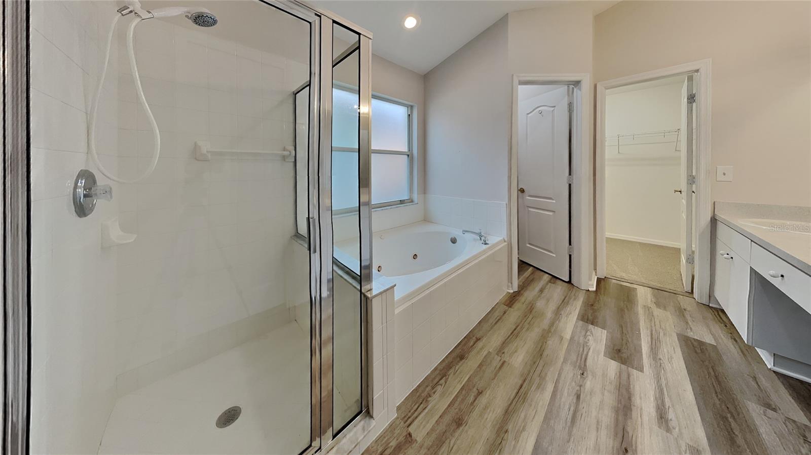29325 BIRDS EYE DR, WESLEY CHAPEL, FL, 33543