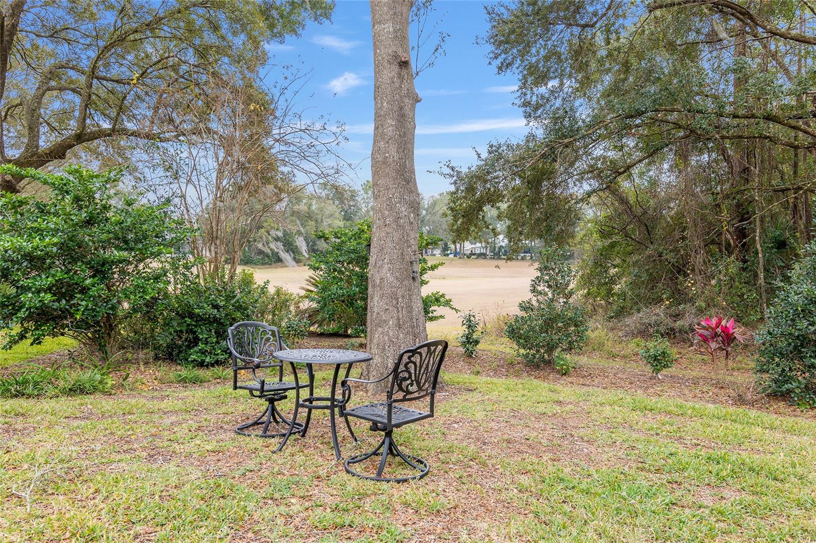 19586 SW 84TH PL, DUNNELLON, FL, 34432