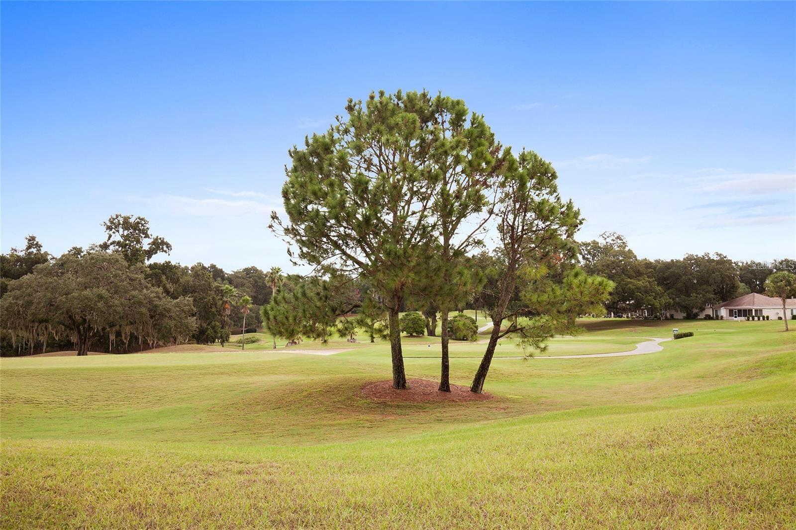 12463 SE 93RD COURT RD, SUMMERFIELD, FL, 34491