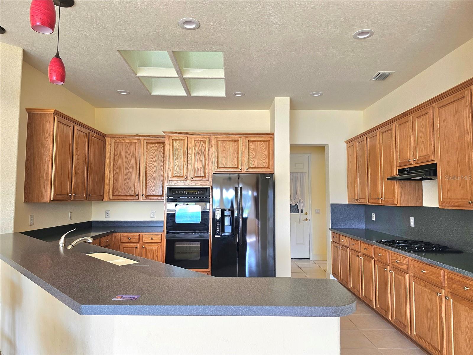 12463 SE 93RD COURT RD, SUMMERFIELD, FL, 34491