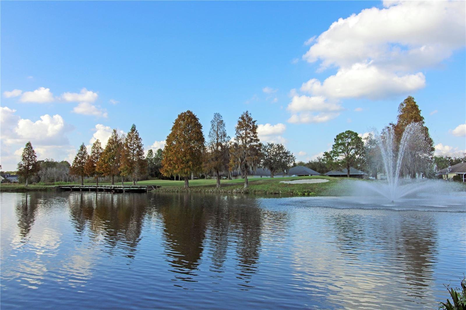 5233 GATO DEL SOL CIR, WESLEY CHAPEL, FL, 33544