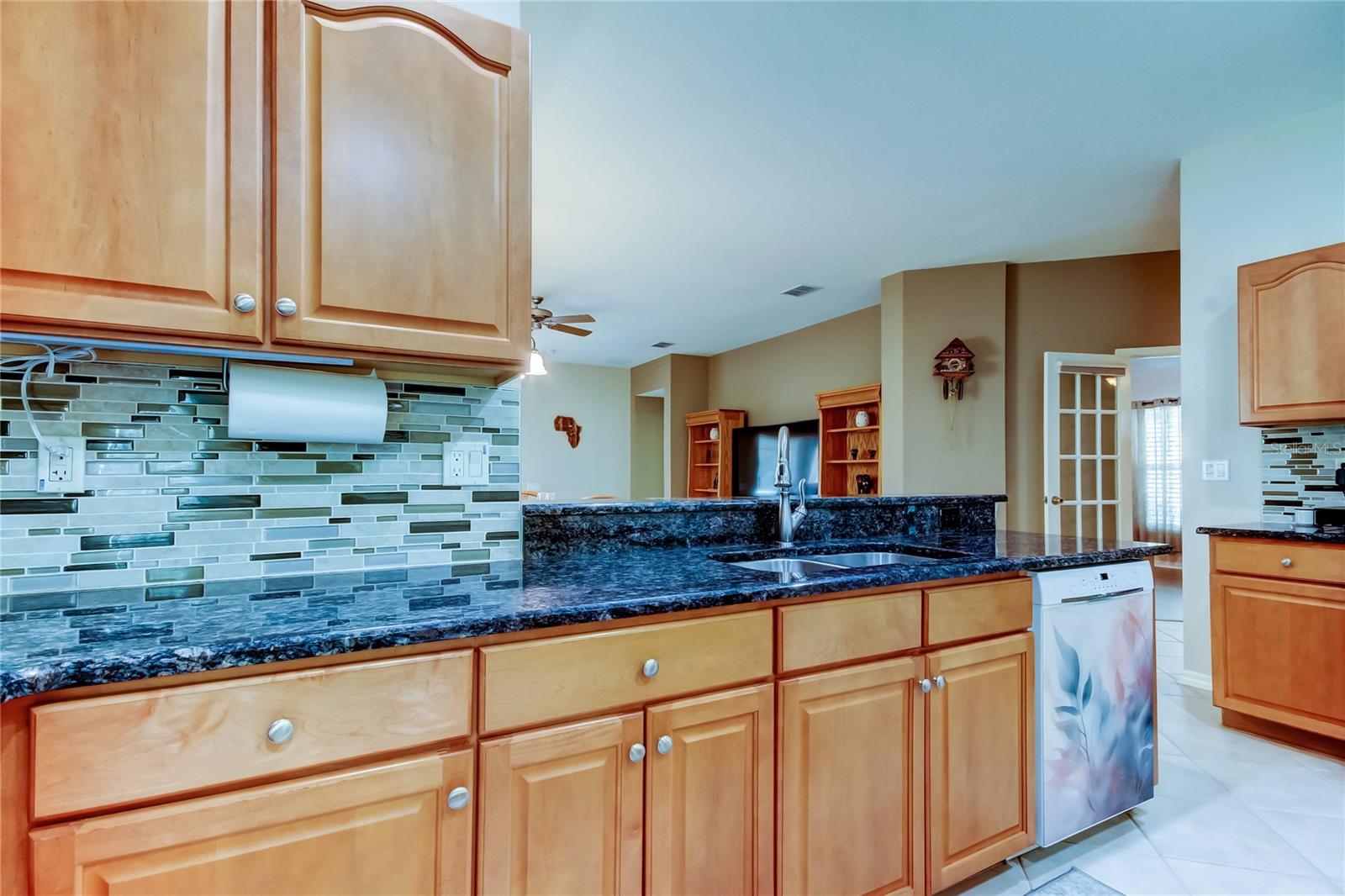 5233 GATO DEL SOL CIR, WESLEY CHAPEL, FL, 33544