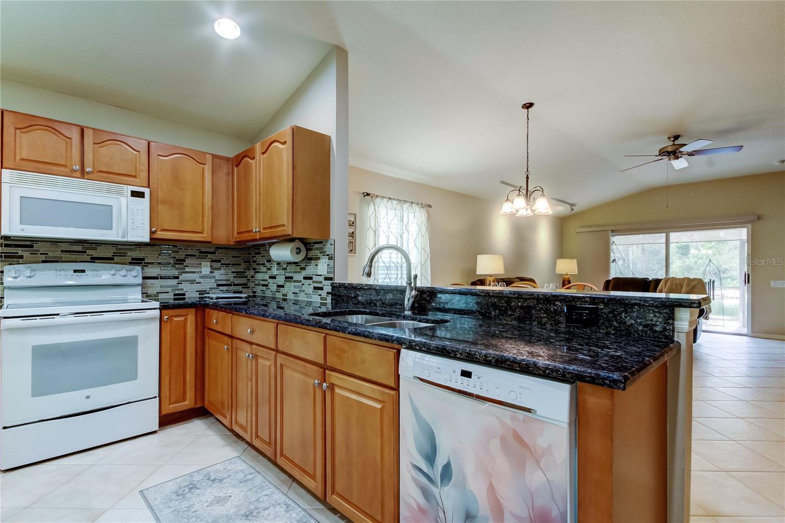 5233 GATO DEL SOL CIR, WESLEY CHAPEL, FL, 33544