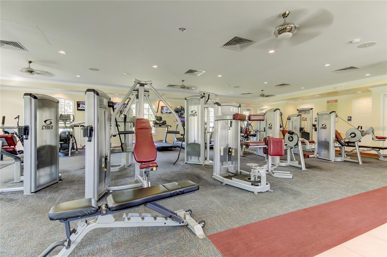 5233 GATO DEL SOL CIR, WESLEY CHAPEL, FL, 33544