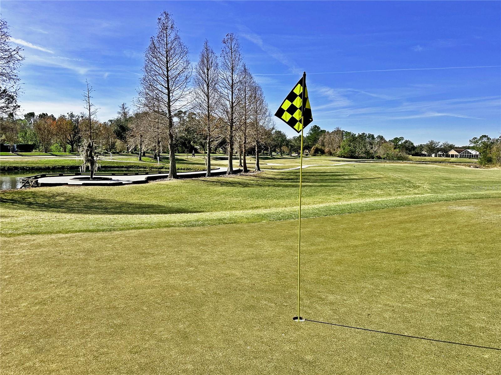 5233 GATO DEL SOL CIR, WESLEY CHAPEL, FL, 33544