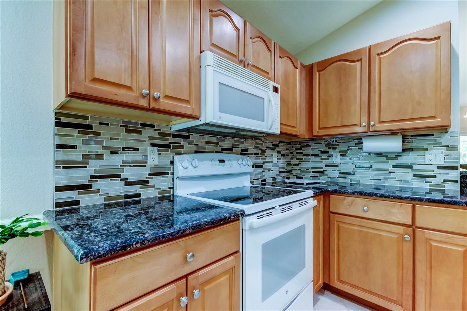 5233 GATO DEL SOL CIR, WESLEY CHAPEL, FL, 33544