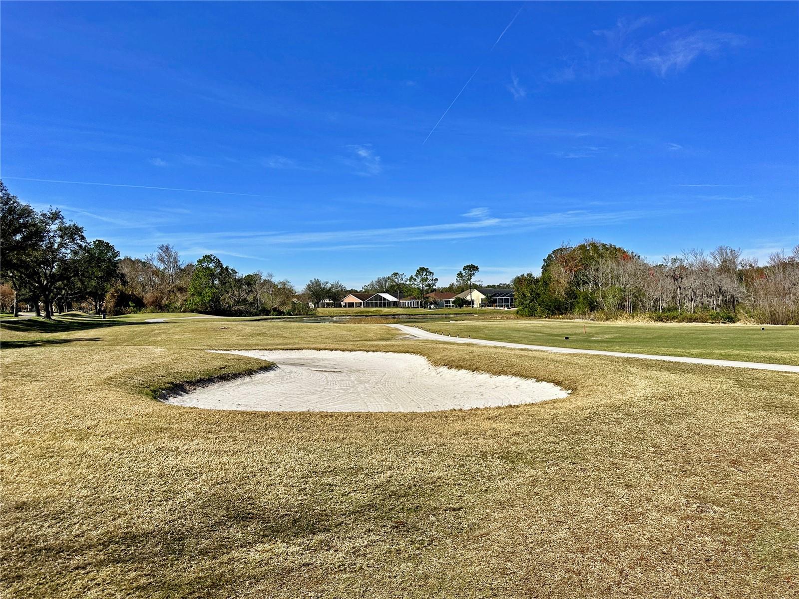 5233 GATO DEL SOL CIR, WESLEY CHAPEL, FL, 33544