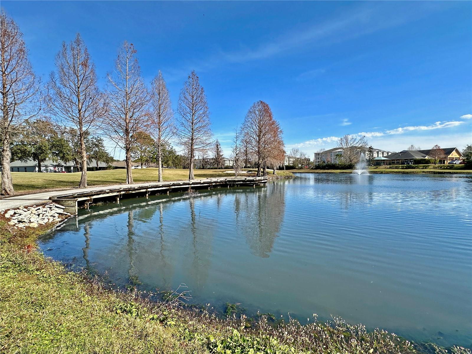 5233 GATO DEL SOL CIR, WESLEY CHAPEL, FL, 33544
