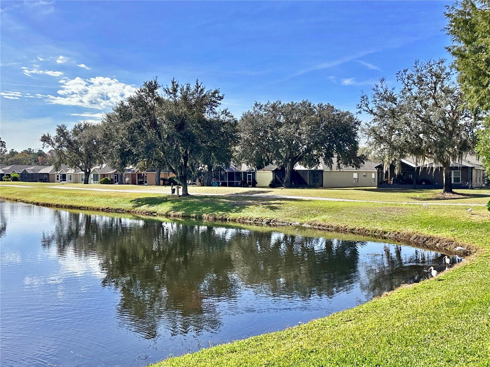 5233 GATO DEL SOL CIR, WESLEY CHAPEL, FL, 33544