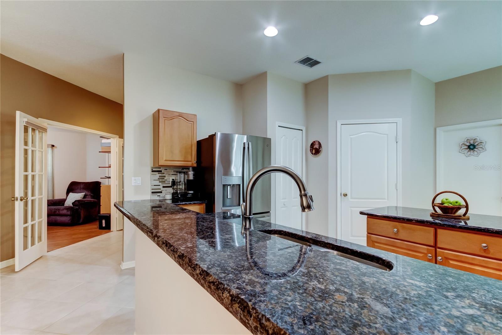 5233 GATO DEL SOL CIR, WESLEY CHAPEL, FL, 33544