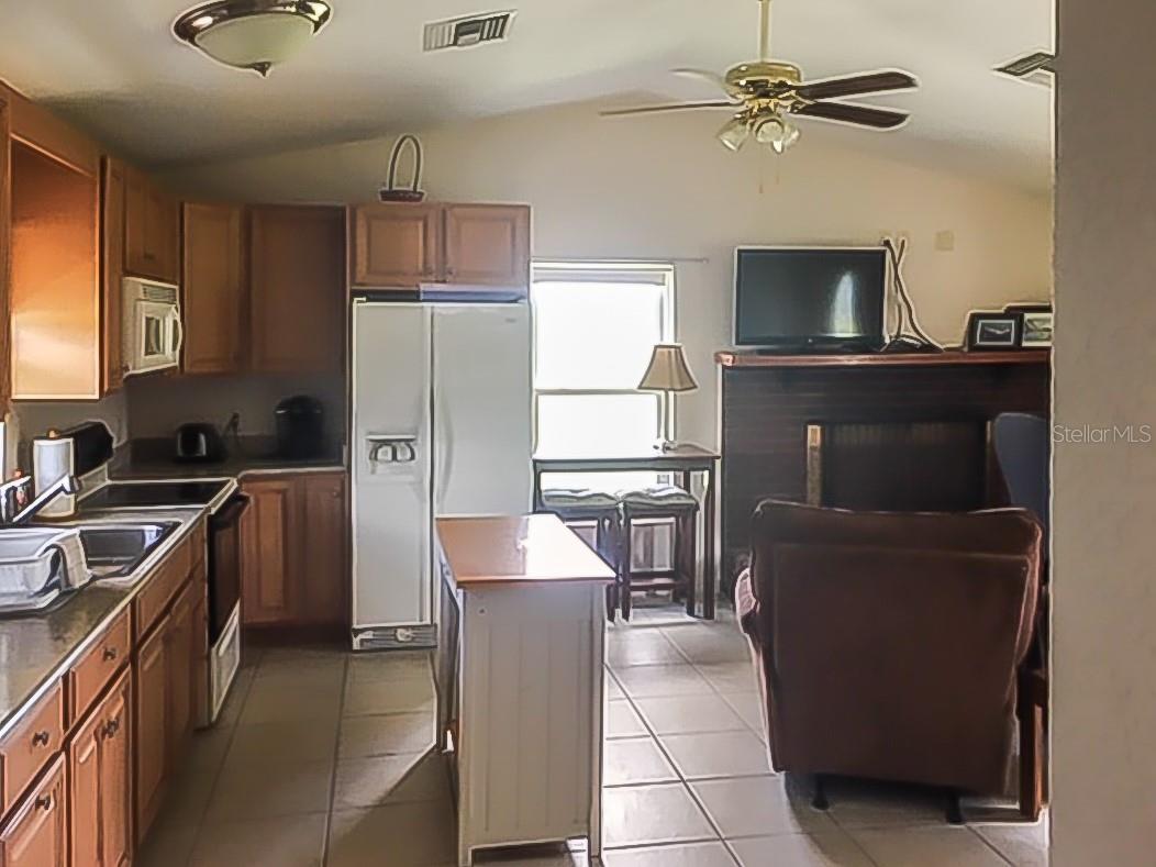 250 NE 195TH AVE, WILLISTON, FL, 32696