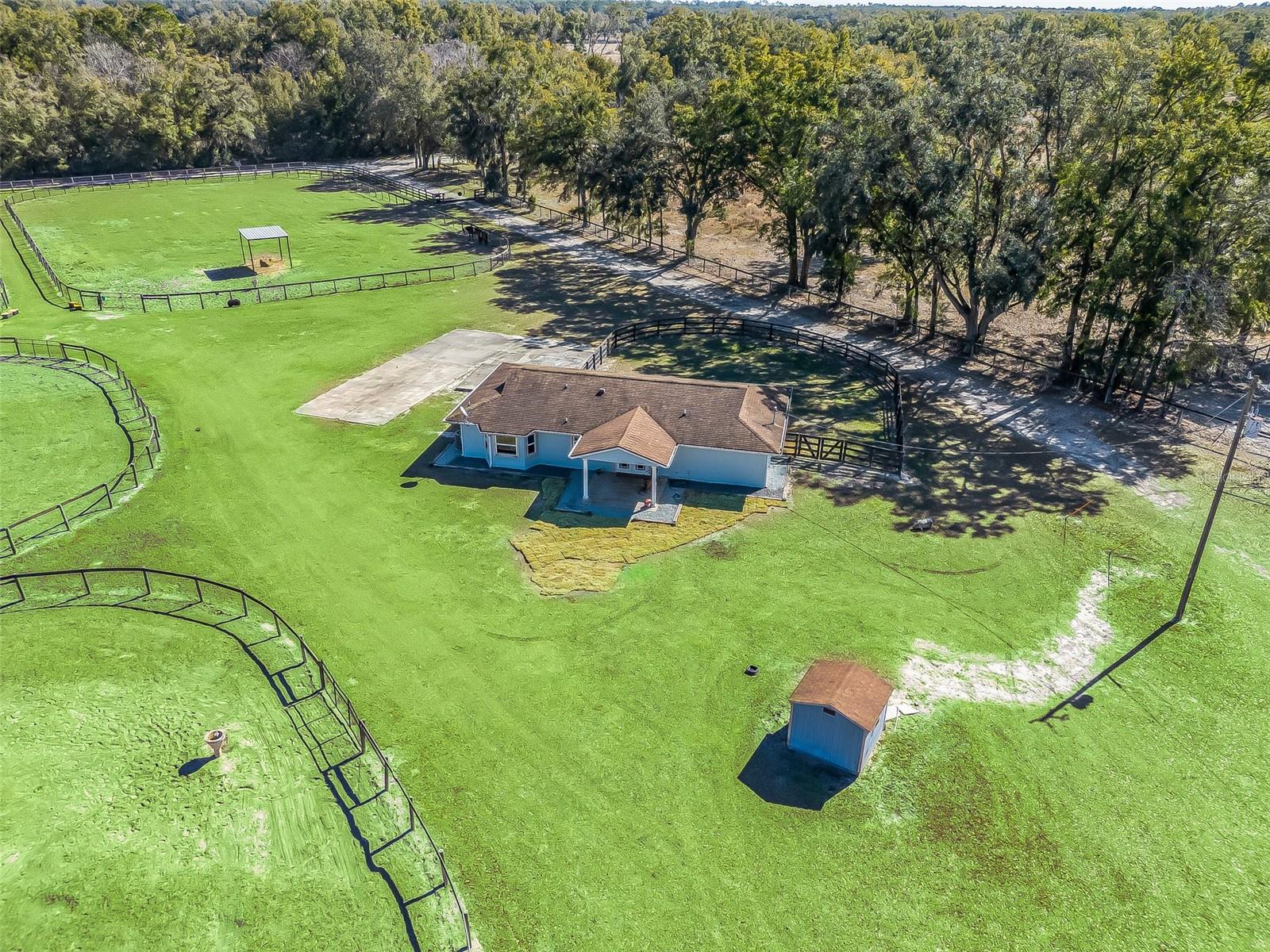 250 NE 195TH AVE, WILLISTON, FL, 32696