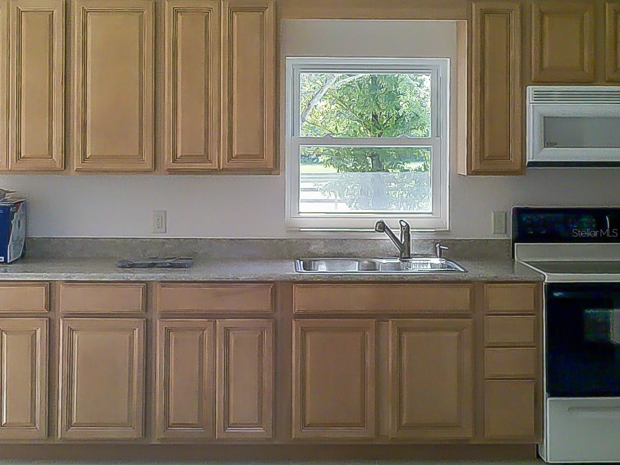 250 NE 195TH AVE, WILLISTON, FL, 32696