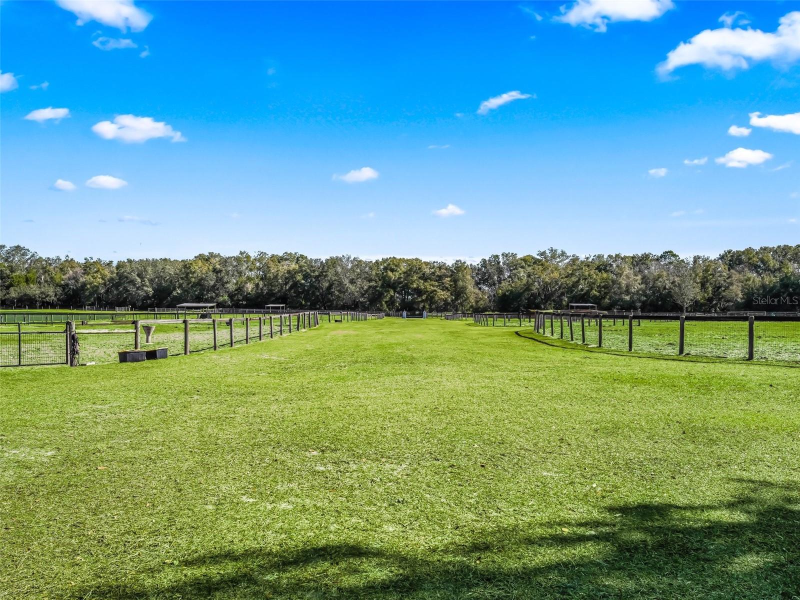 250 NE 195TH AVE, WILLISTON, FL, 32696