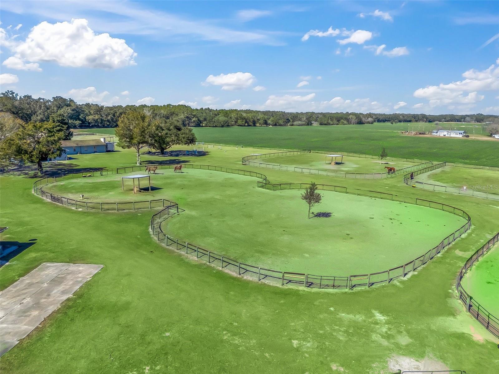 250 NE 195TH AVE, WILLISTON, FL, 32696