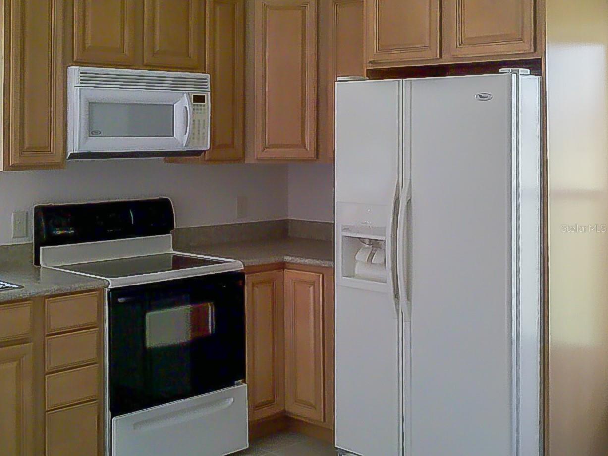 250 NE 195TH AVE, WILLISTON, FL, 32696
