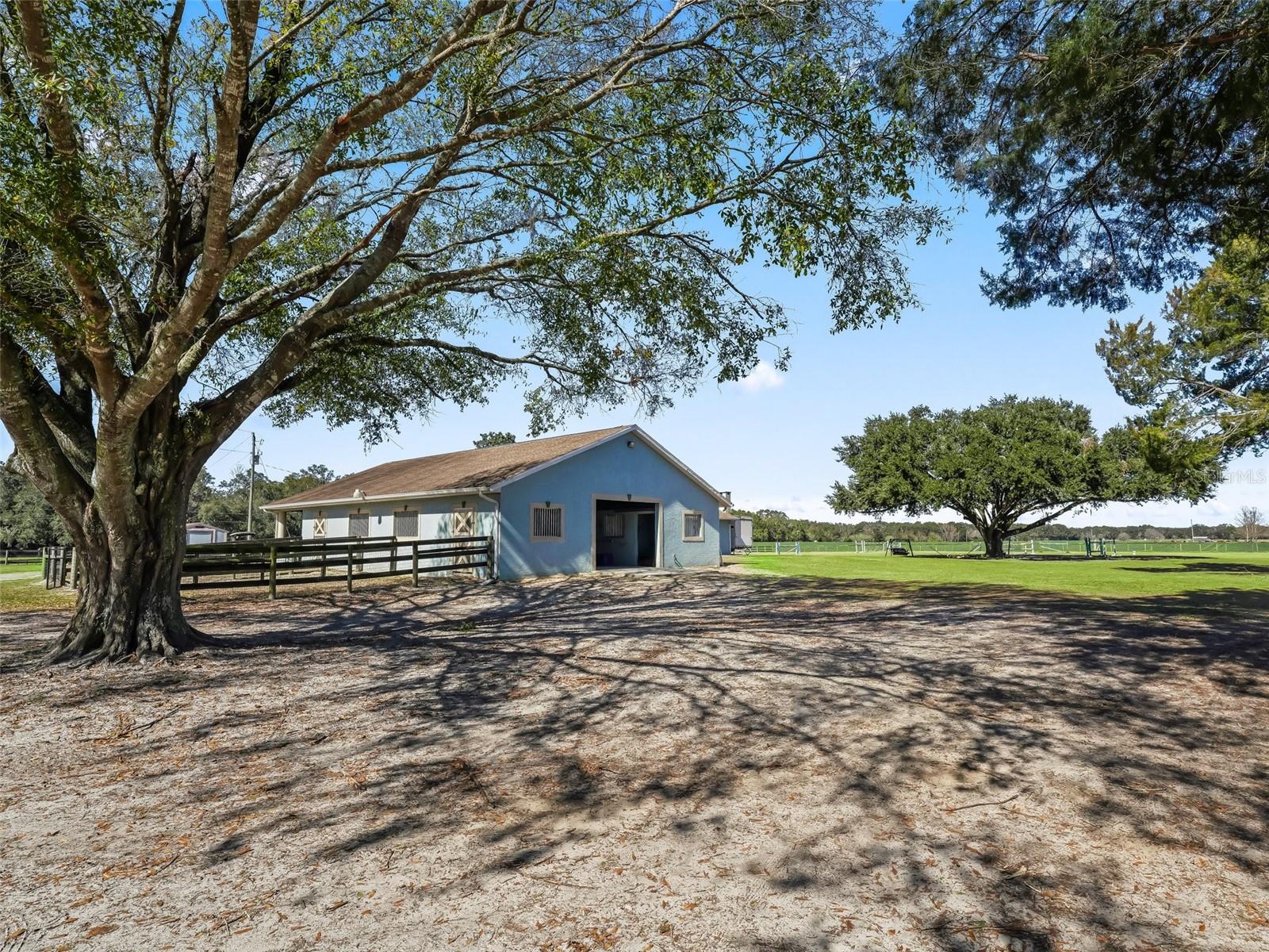 250 NE 195TH AVE, WILLISTON, FL, 32696