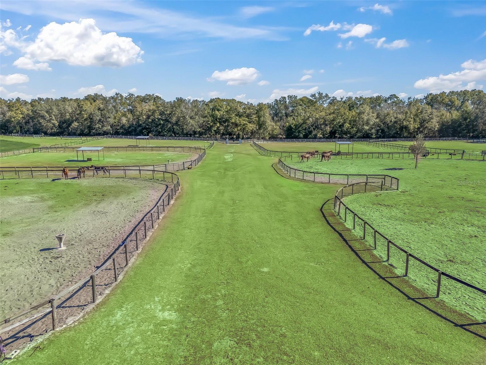250 NE 195TH AVE, WILLISTON, FL, 32696