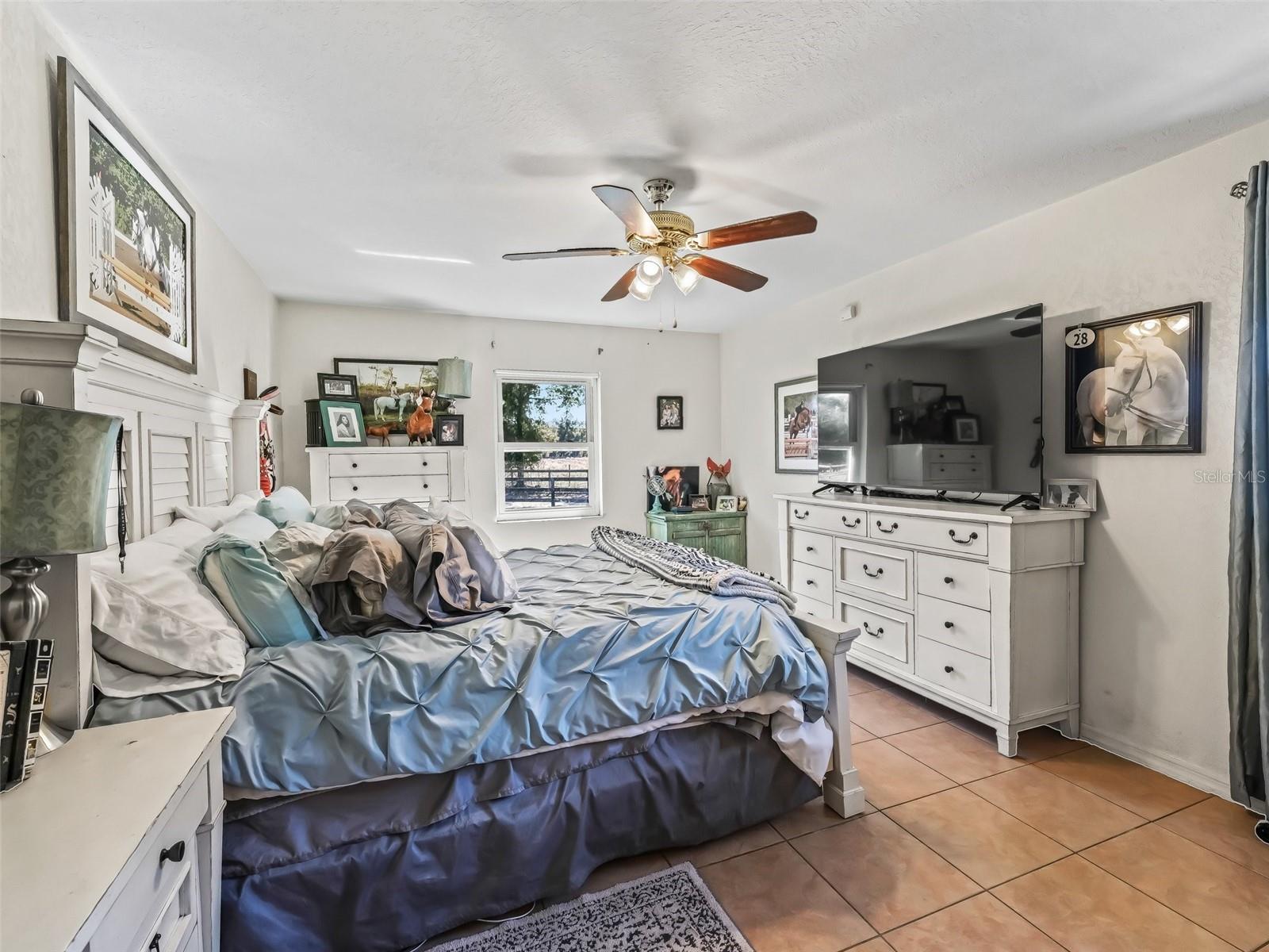 250 NE 195TH AVE, WILLISTON, FL, 32696