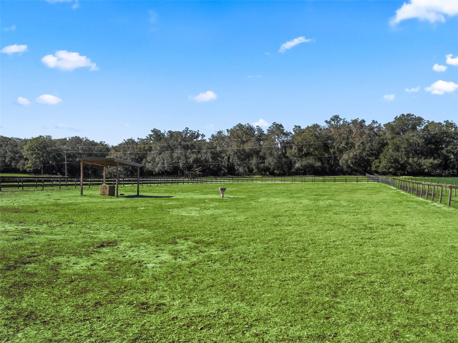 250 NE 195TH AVE, WILLISTON, FL, 32696