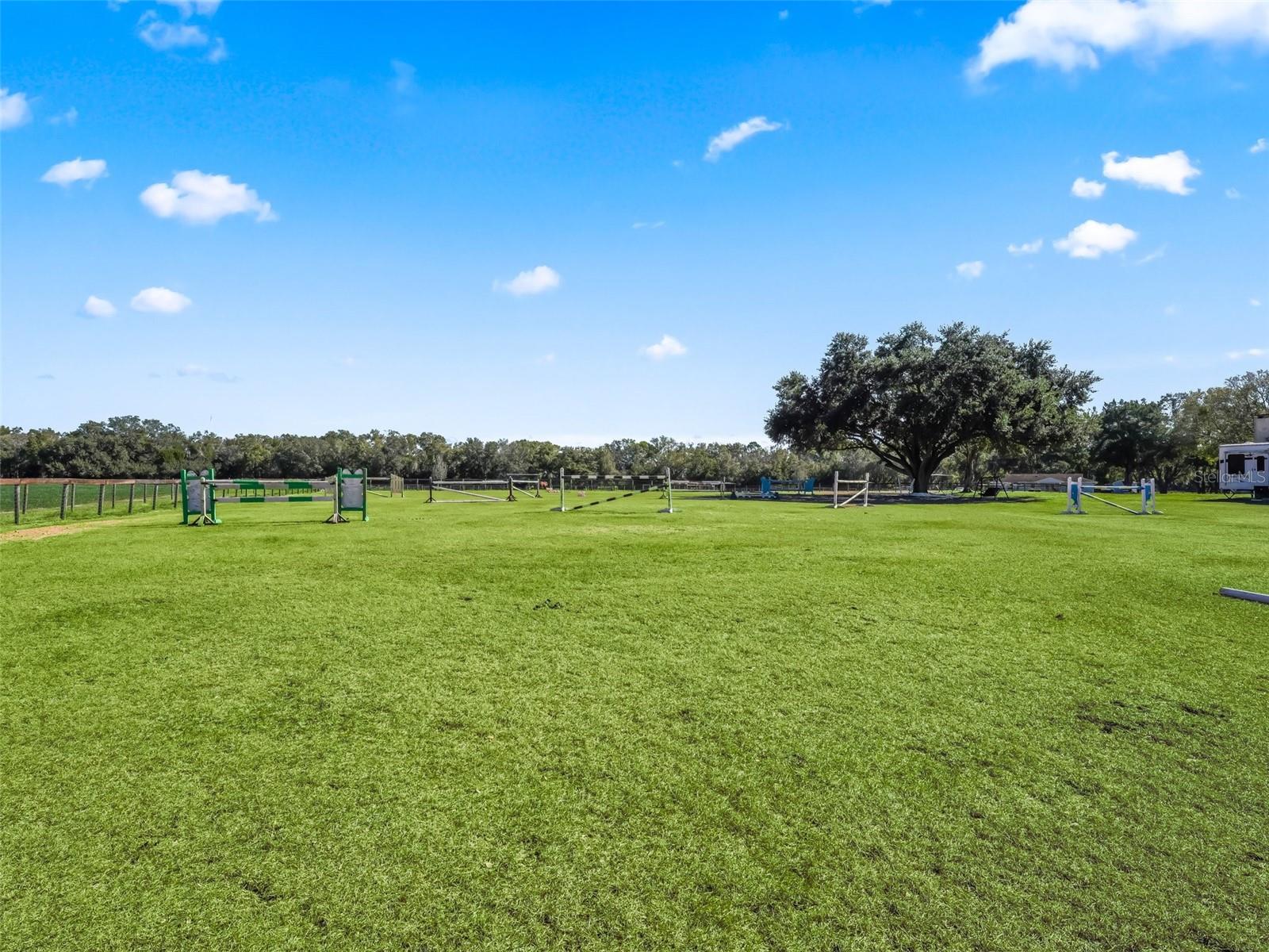 250 NE 195TH AVE, WILLISTON, FL, 32696