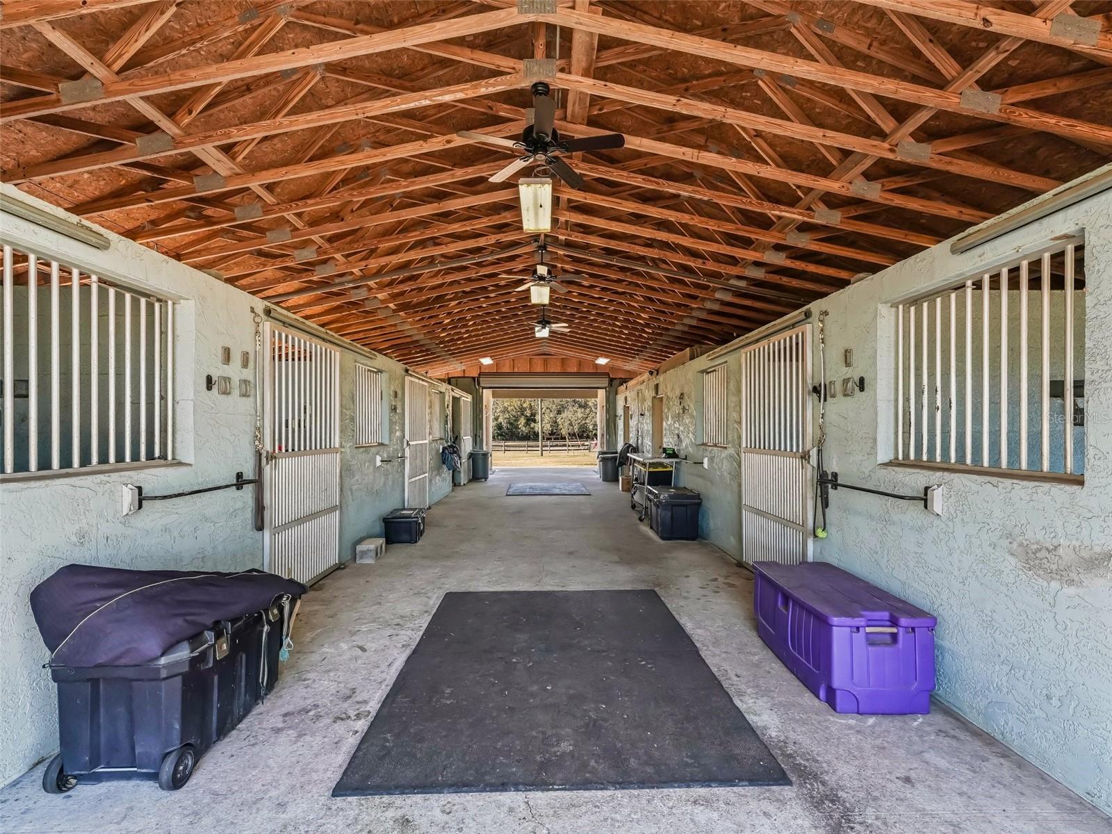250 NE 195TH AVE, WILLISTON, FL, 32696