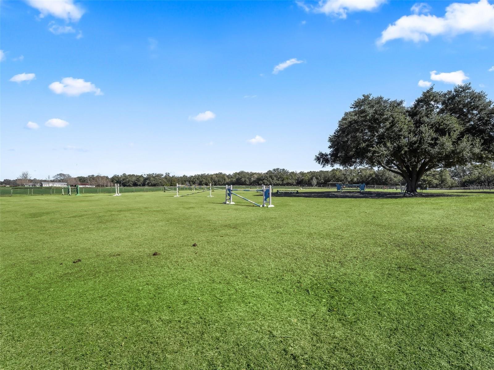 250 NE 195TH AVE, WILLISTON, FL, 32696