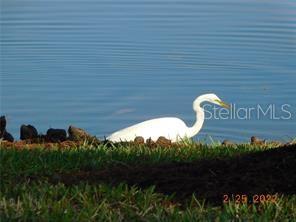 25533 HERITAGE LAKE BLVD #19, PUNTA GORDA, FL, 33983