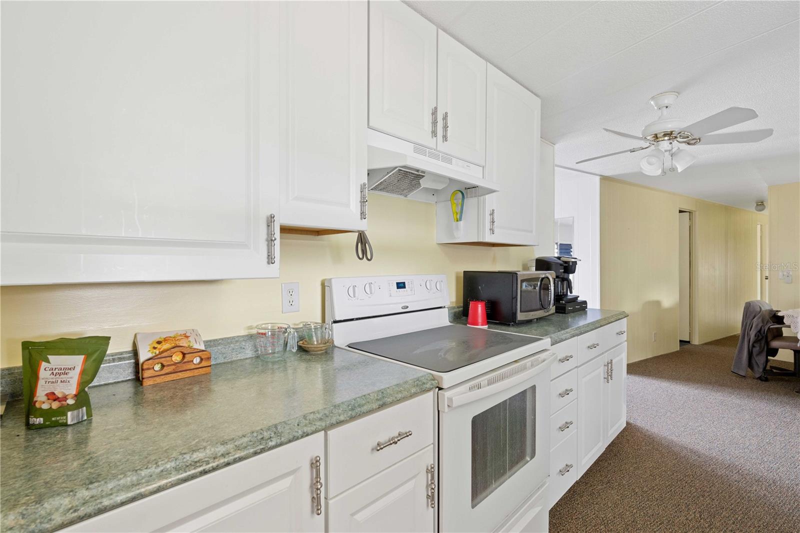 5404 JO ST, ZEPHYRHILLS, FL, 33542